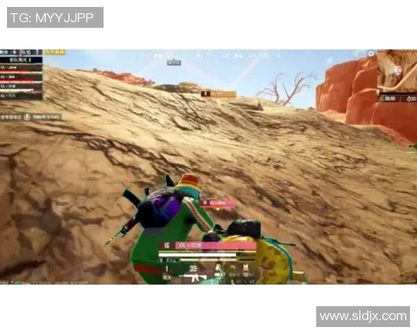 和平精英意识排行榜RNG荣登第七名S15LOL赛事分析与解读